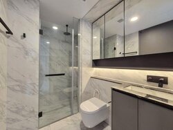The Landmark (D3), Condominium #518331601